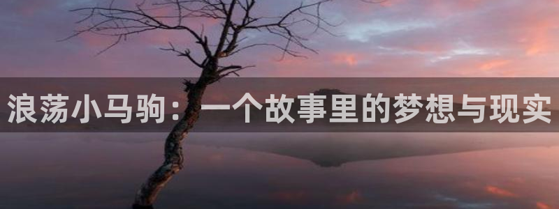 耽漫网之家官网入口：浪荡小马驹：一个故事里的梦想与现实