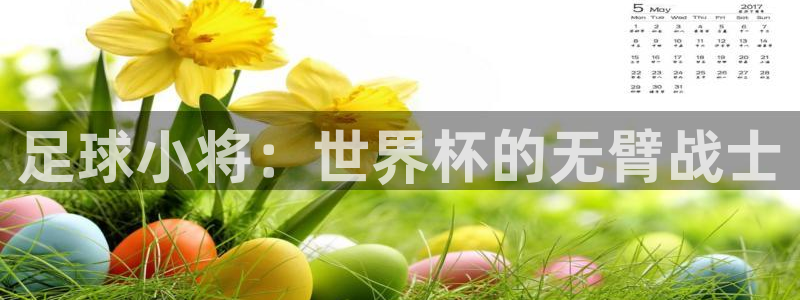 耽漫网下载：足球小将：世界杯的无臂战士