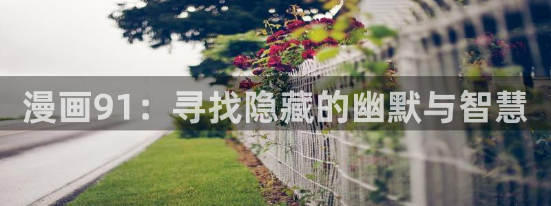 耽漫网免费阅读在线下载：漫画91：寻找隐藏的幽默与智慧