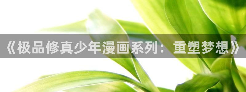 耽漫网官网：《极品修真少年漫画系列：重塑梦想》