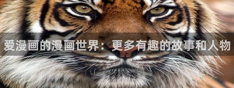 耽漫网之家：爱漫画的漫画世界：更多有趣的故事和人物
